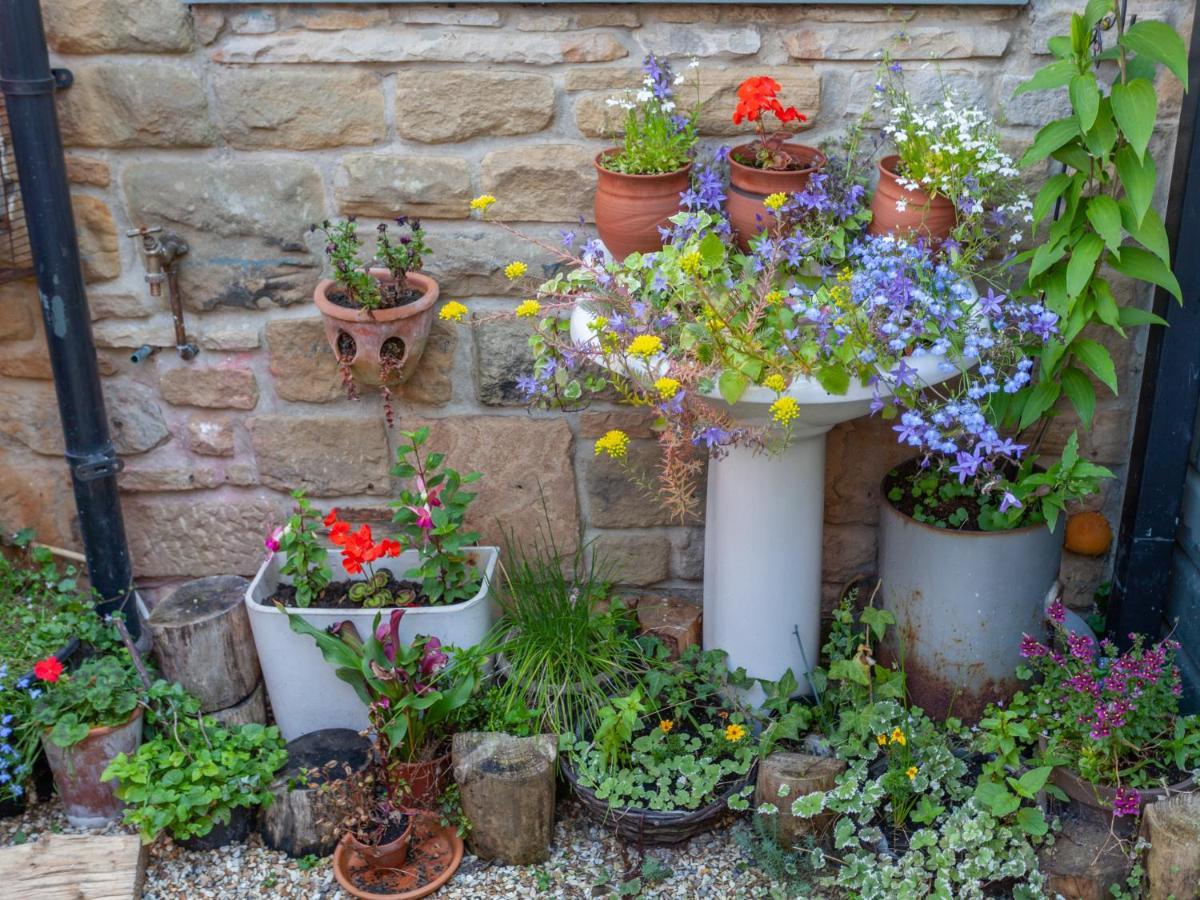 Shaftoe'S Bed And Breakfast Haydon Bridge Екстер'єр фото
